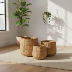 PANALI PNL-PH54 Organize Sepet Küçük 20x25 cm