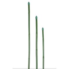 Raco Bitki Destek Çubuğu 8 mm x 60 cm