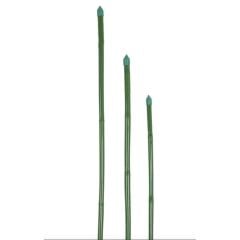 Raco Bitki Destek Çubuğu 8 mm x 75 cm
