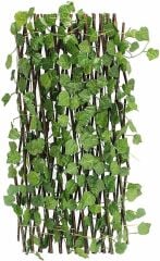 Akordiyon Çit Sarmaşık / Asma Duvar Dekoru 20x120 cm (Kapalı)