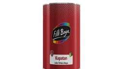 Filli Boya Kapatan Leke Örtücü Boya 0.75' lt