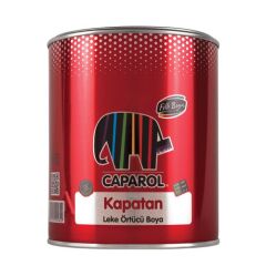 Filli Boya Kapatan Boya 0.25' lt