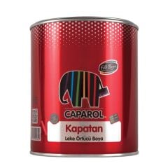 Filli Boya Kapatan Boya 0.25' lt
