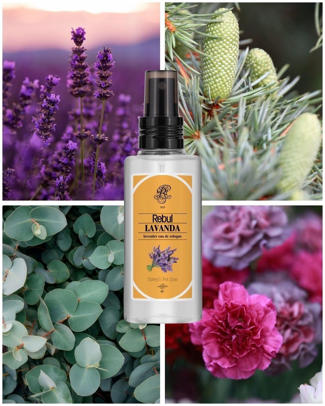 Rebul Kolonya 125 ML