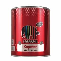 Filli Boya Kapatan Boya 2.5 Litre