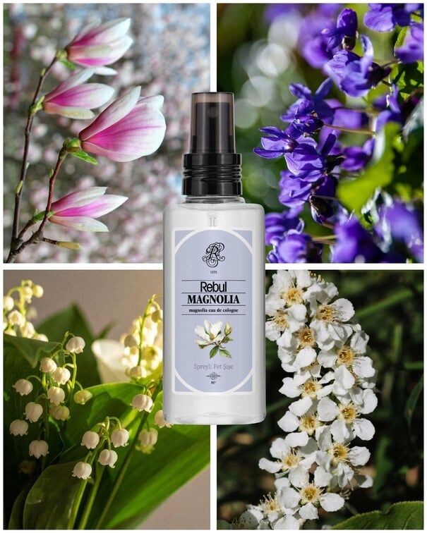Rebul Kolonya 125 ML Magnolia