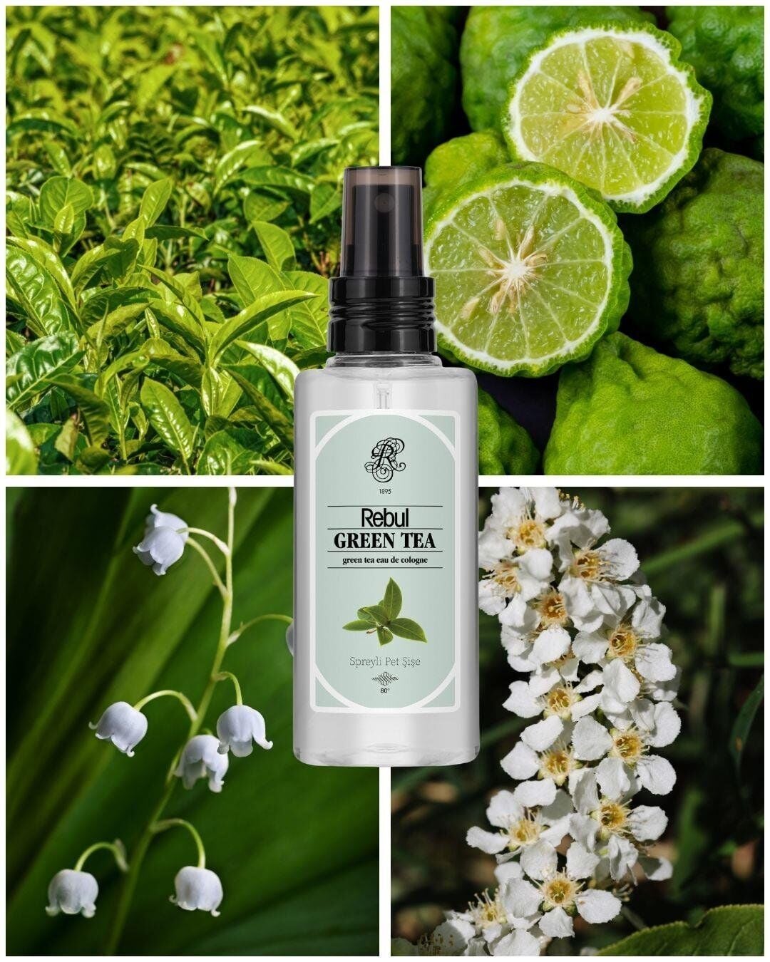 Rebul Kolonya 125 ML Green Tea