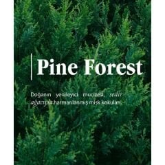 Rebul Pine Forest 125 ML Sprey Kolonya
