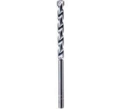 Bosch CYL-1 10*120 mm
