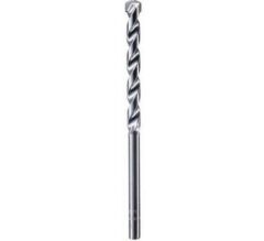 Bosch CYL-1 10*120 mm