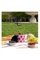 Les Artistes Paris Isı Yalıtımlı Çelik Yemek Termosu 700ml Strawberry Çok Renkli - 700 ML